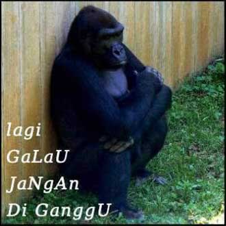 gambar lucu gambar lucu